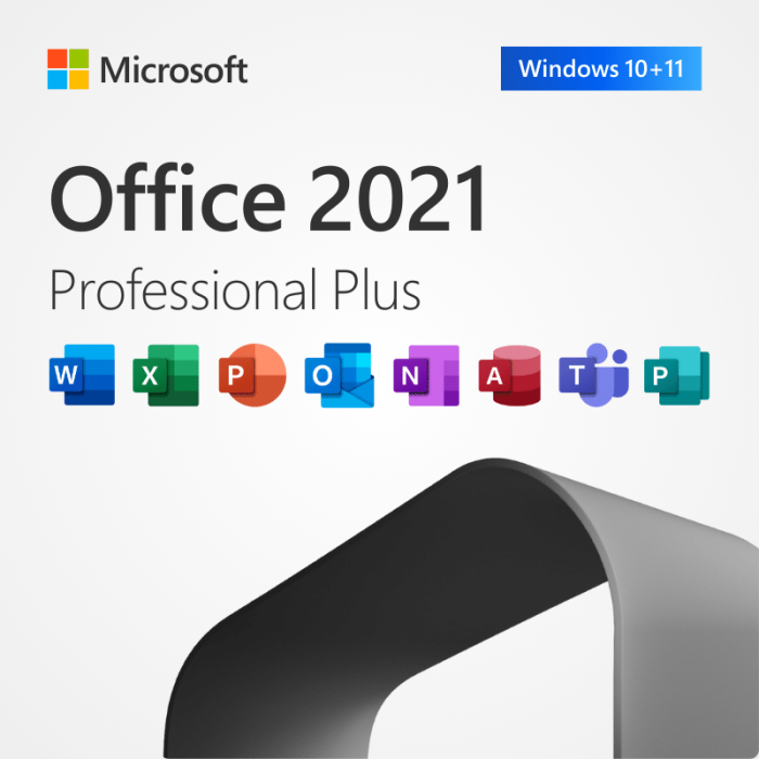 MS Office 2021 Digital License for 1 PC  - Lifetime Validity